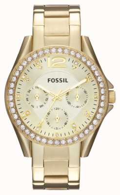 Fossil 女士莱利 |金色表盘|水晶套装|金色不锈钢手链 ES3203