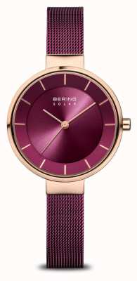 Bering 太阳能 |紫色太阳纹表盘|紫色米兰尼斯表带|拉丝玫瑰金不锈钢表壳 14631-969